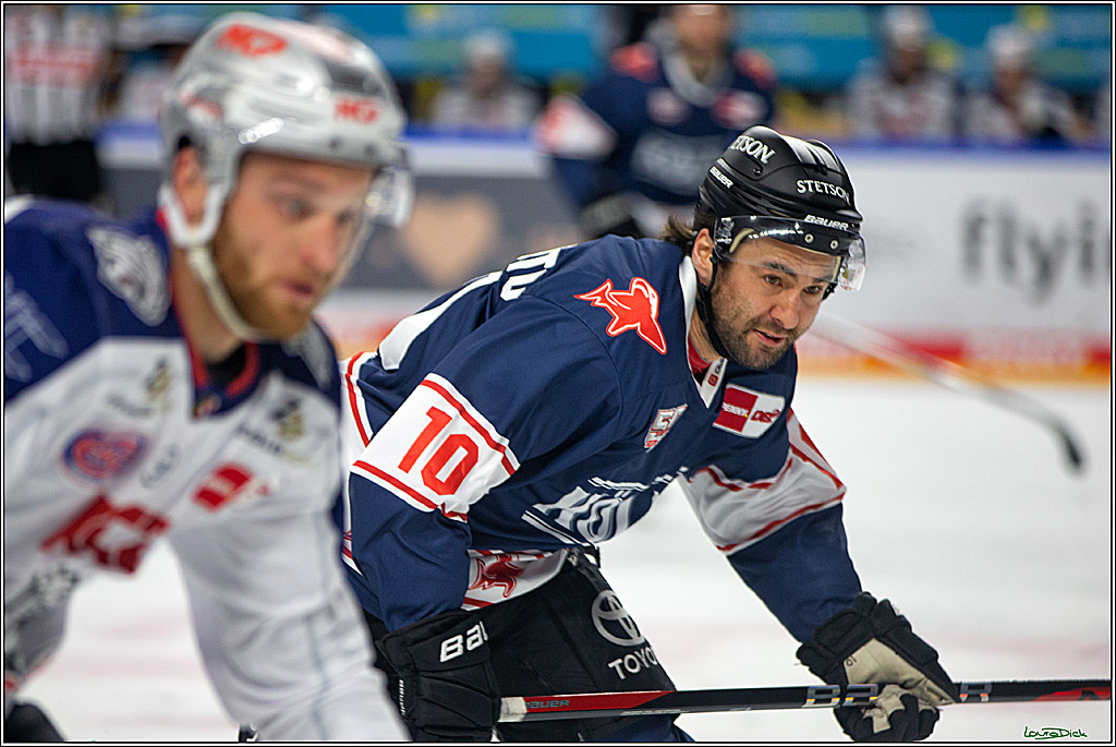 PENNY DEL; Koelner Haie- Nuernberger Ice Tigers; Koeln, 29.01.2023
